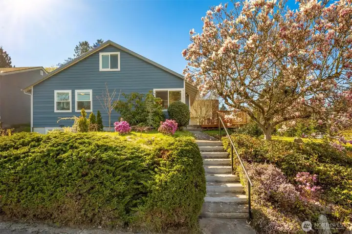 In the heart of the quiet and sought-after Lakewood neighborhood.