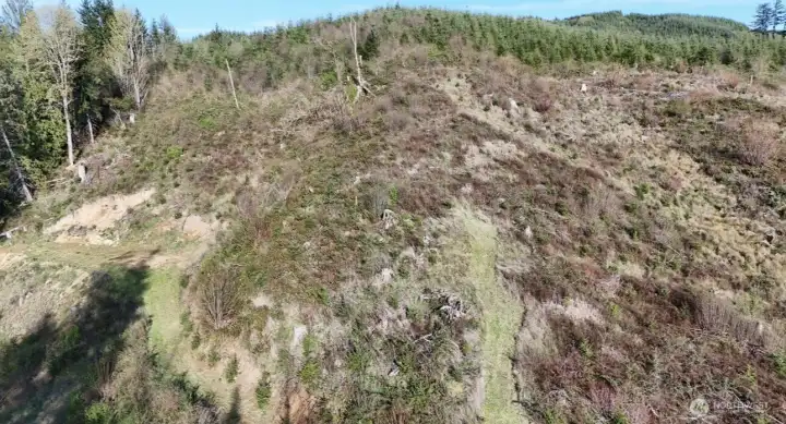 This 5 Acre property backs to over 1000 acres of forest land!