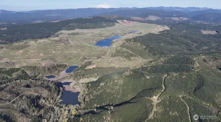 Drone view of forest