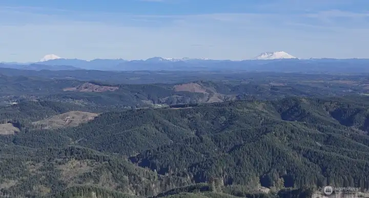Drone view of surrounding forest land!