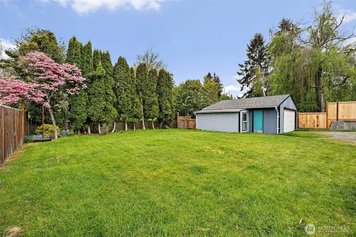 Large backyard with shop in the backyard for extra security and privacy. Back fence line is lined with privacy trees  and a spring blossoming focal point in the corner.