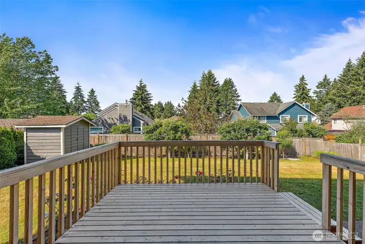 new backdeck