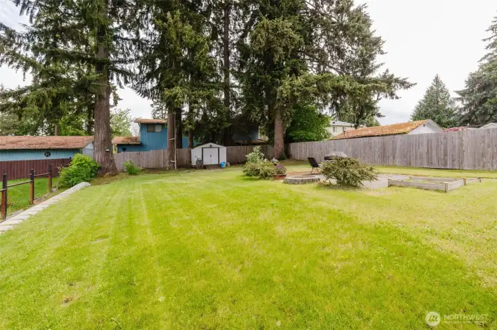 Large flat yard with shed