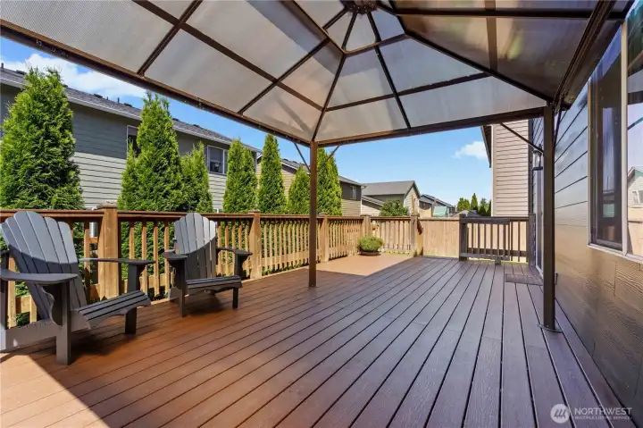 Pergola and privacy trees