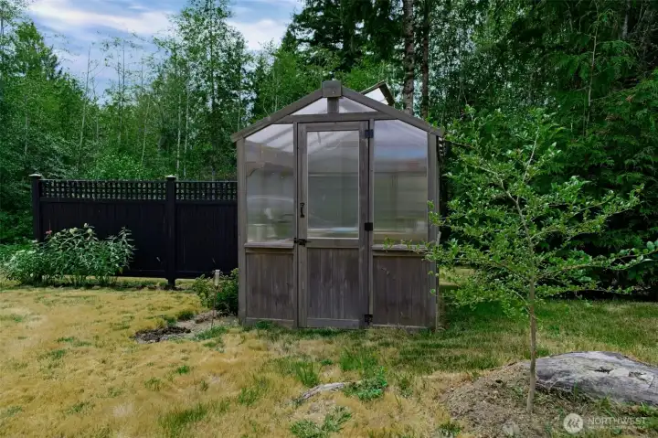 Greenhouse in the backyard. Greenhouse in the backyard.