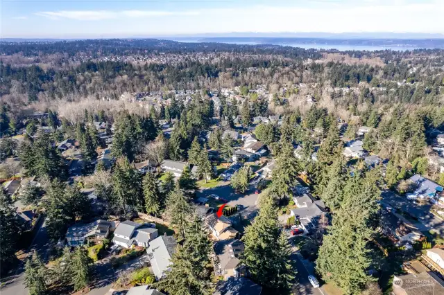 Welcome to this beautifully maintained West Campus home! Serene neighborhood tucked in amongst the trees. Close to I-5 and HWY 18 for easy commuting.