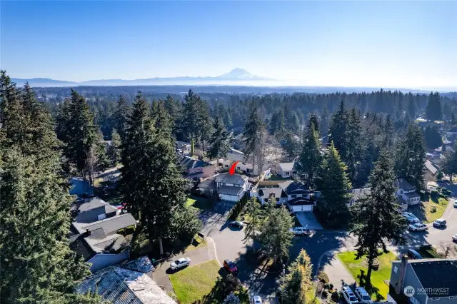 Welcome to this beautifully maintained West Campus home! Serene neighborhood tucked in amongst the trees. Close to I-5 and HWY 18 for easy commuting.