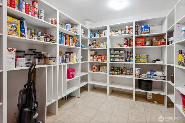 Extra large pantry, has room for an island too