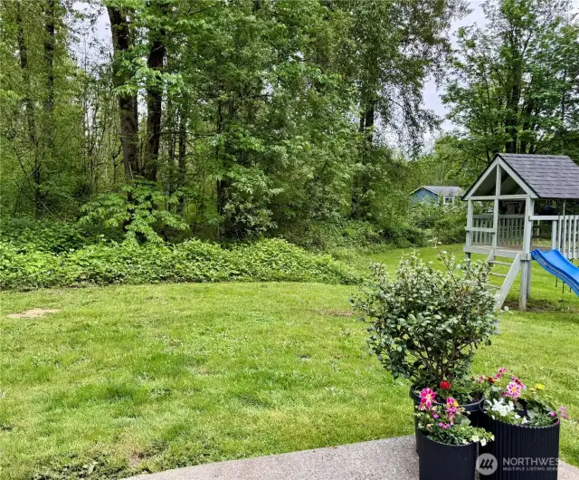 Back view from patio facing fenced pasture to right