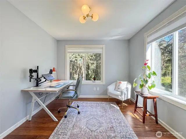 Wonderful Office with Windows
