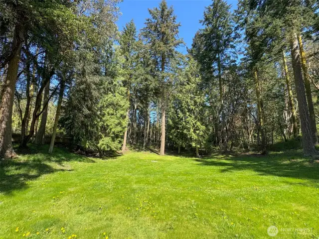 Big Backyard with Trees