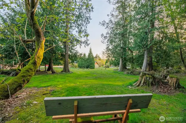 Enjoy your River Birch trees & park like setting.