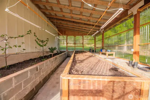 Fruit Trees & many types of produce in this producing Greenhouse!