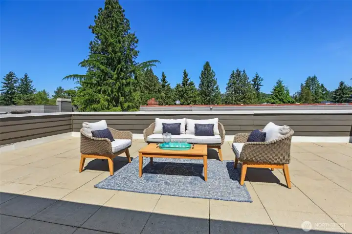 Awesome roof top deck is big enought for toys, dining set, and outdoor lounging.