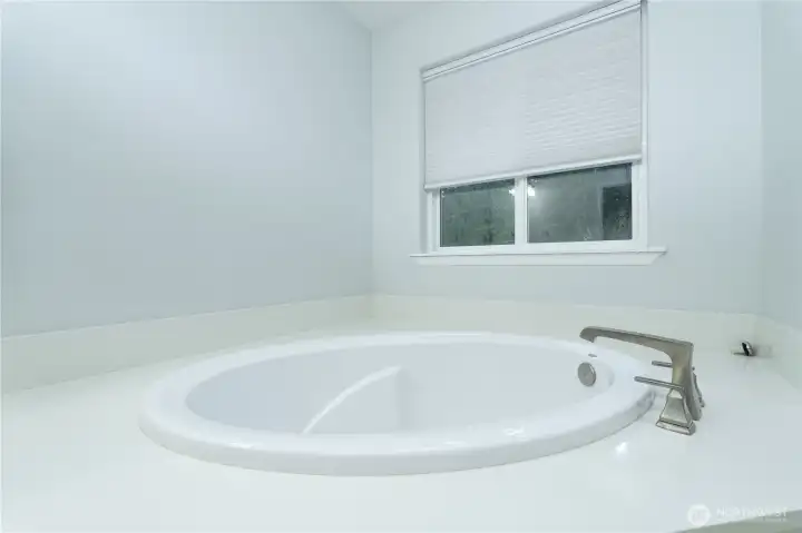 Primary Soaker Tub