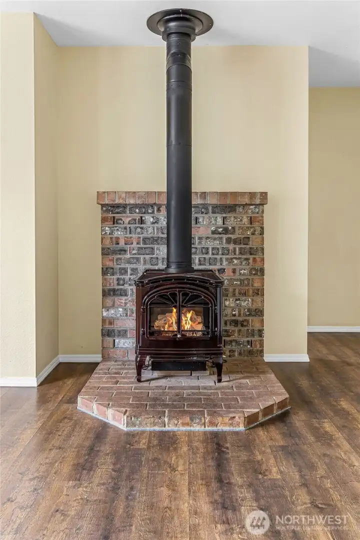 Propane fireplace for extra heat source!