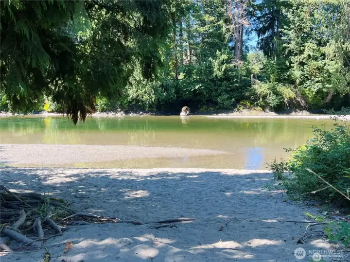 Sandy Beach Stillaguamish River
