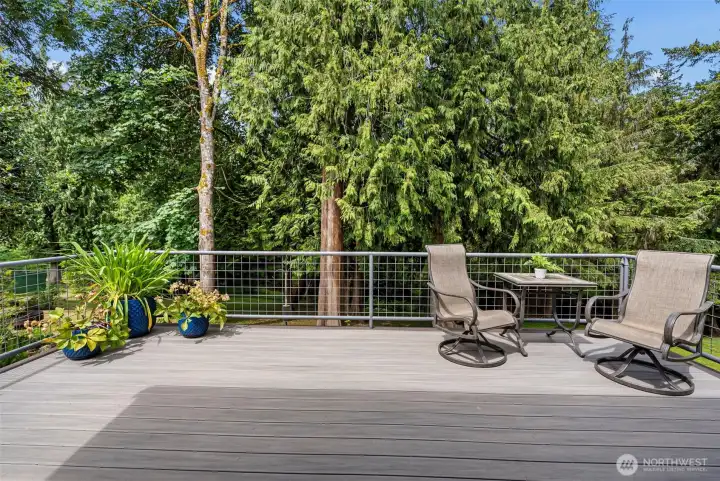 trex deck overlooking the back yard