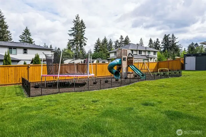 Backyard fun! Backyard fun!