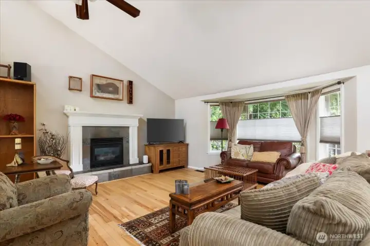 Living room with gas fireplace Living room with gas fireplace