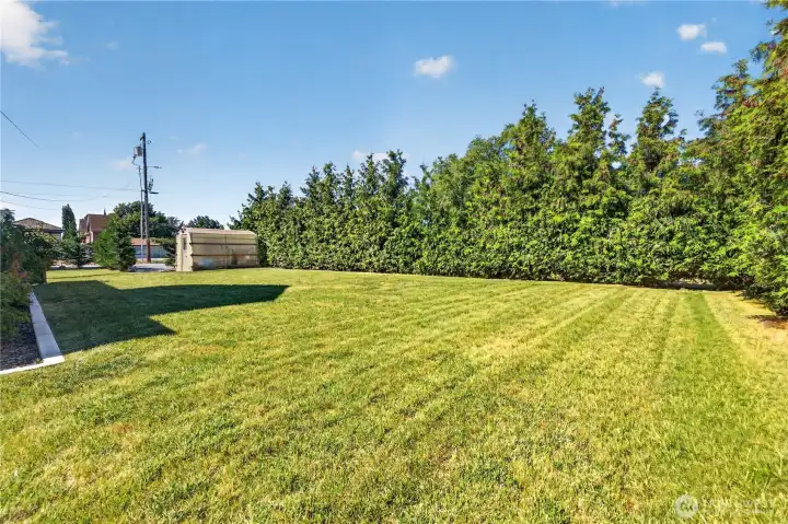 Tree-lined property for privacy Tree-lined property for privacy