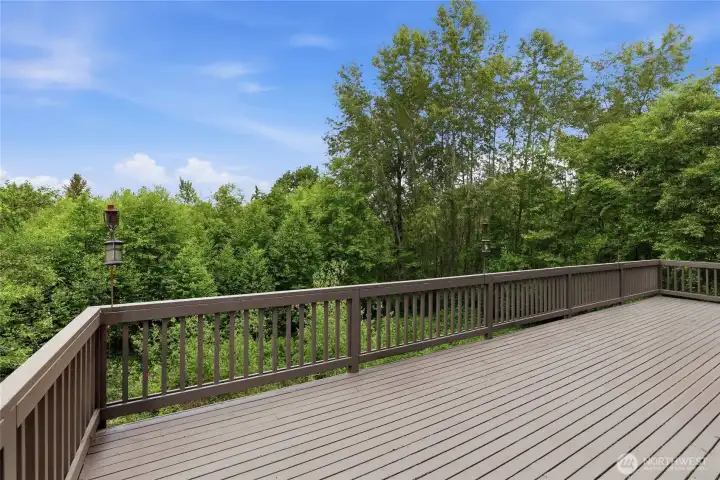 Deck (virtually staged) Deck (virtually staged)