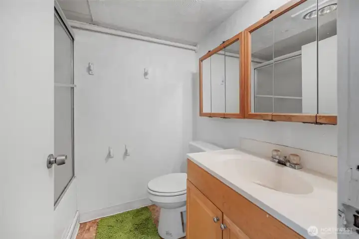basement - full bathroom off the second kitchenette basement - full bathroom off the second kitchenette
