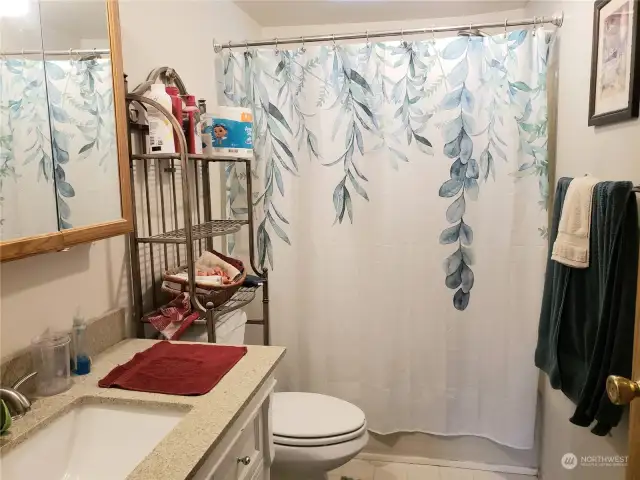Nice Sized Main Guest Bathroom with Brand New Toilet, Vanity, Sink, Faucet and Flooring.