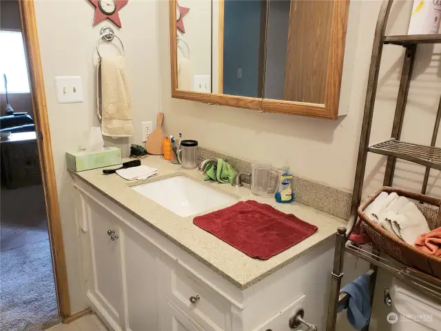 Another View of the Nice Sized Main Guest Bathroom with Brand New Toilet, Vanity, Sink, Faucet and Flooring.