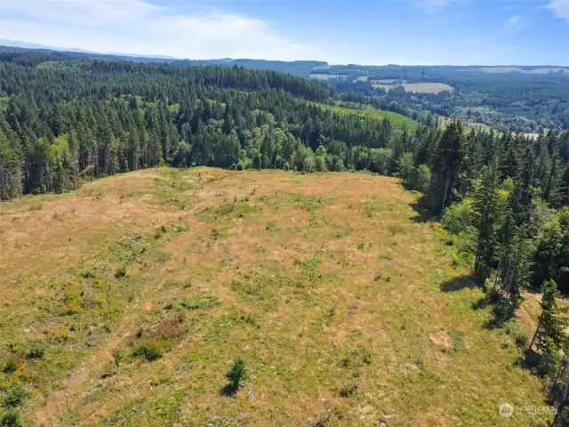 The back end of the property during the summer