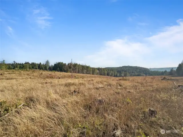 The back end of the property during the winter