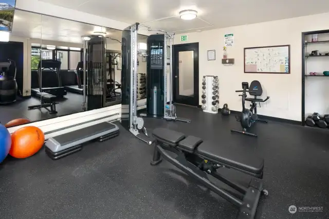 Fitness room with recently purchased equipment