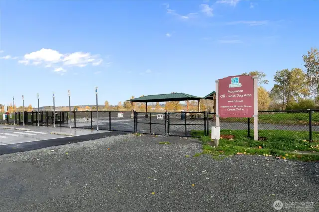 Magnuson Park and the Dog Off-Leash area is just across the street!