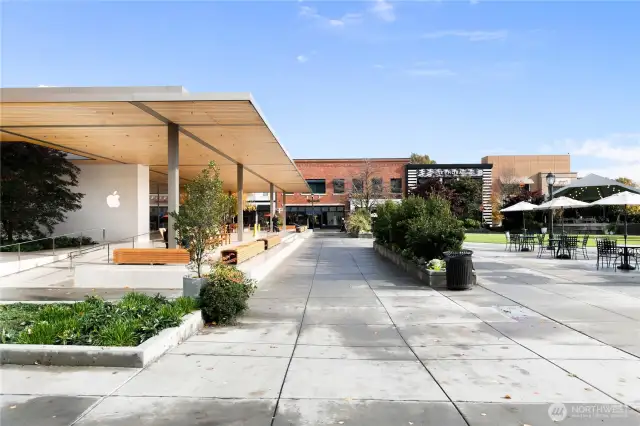 University Village is just down the street, also easily accessible by a short bus ride!