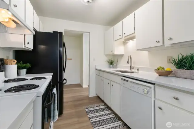 New counters, sink & faucet!