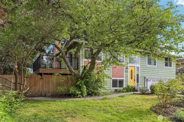 Spacious front yard with mature tree boasting local wildlife habitat