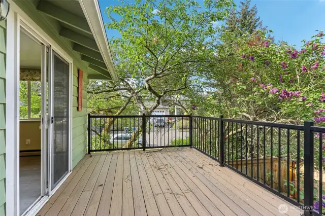 Composite deck w/rails brand new in 2025