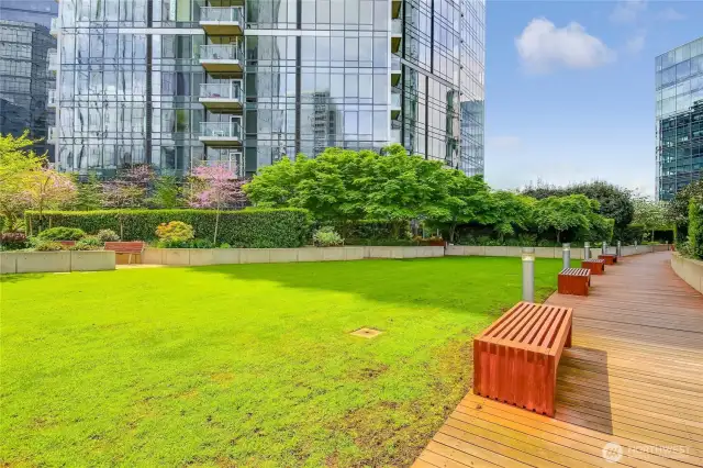 Huge green area in urban garden & pet area