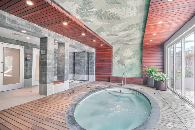 Spa with Jacuzzi, Sauna, Steam room & plunge pool