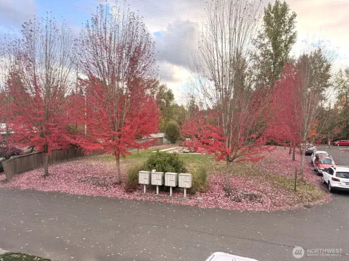 View From Living Area