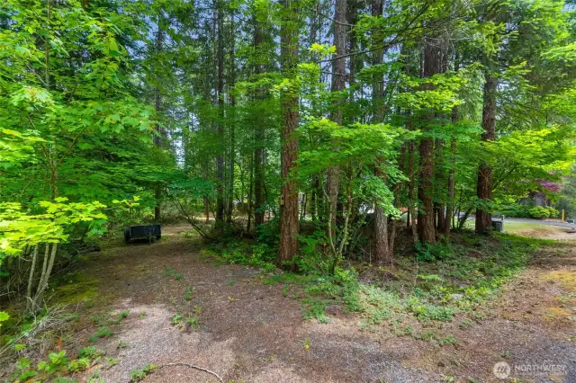 Additional treed lot with separate driveway can be seen adjacent to home.