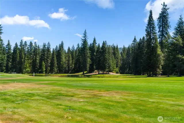 Golf course pond views