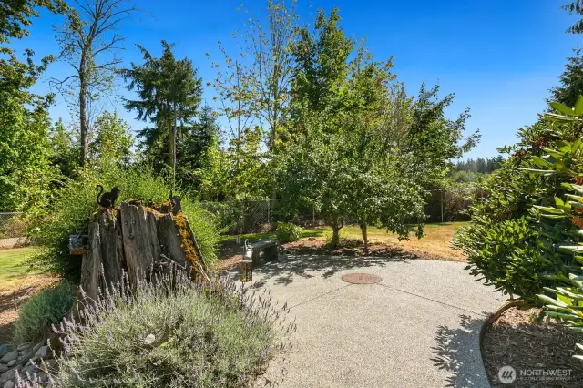 Extra patio area to enjoy your private back yard.