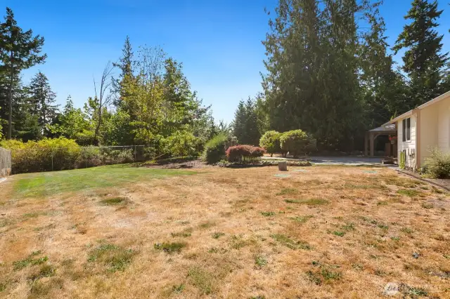 Large fenced back yard with garden area and fruit trees (apple and plum)