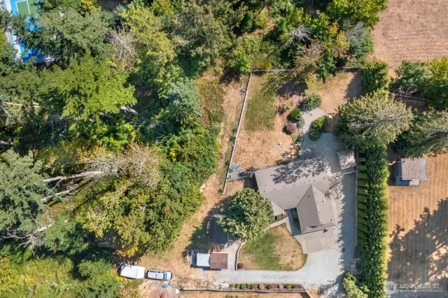 Overview of the entire lot.