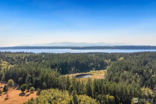 Just down the street from Cama state park trials.