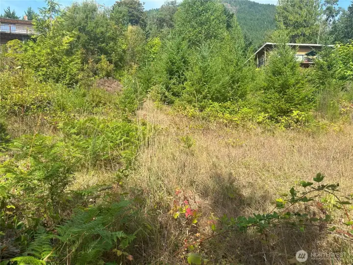 View looking uphill towards Tog Road. Lot is situated between the two existing homes.