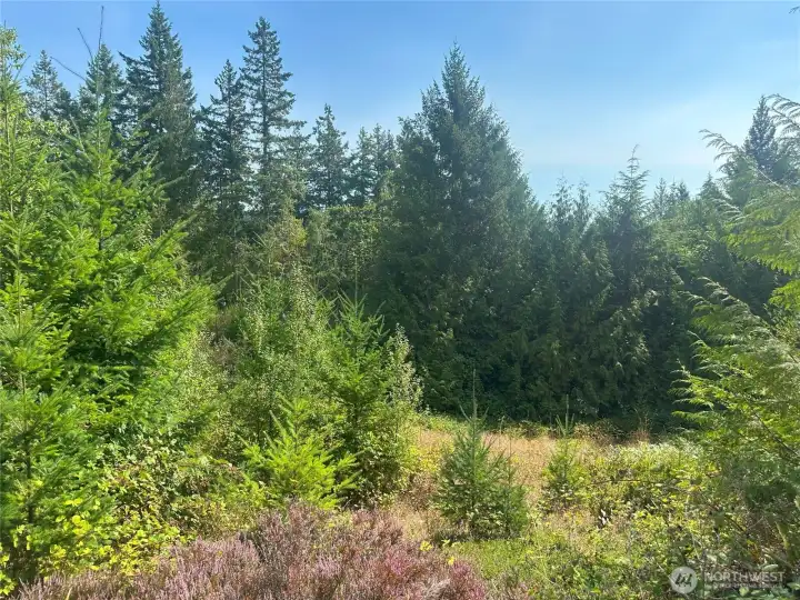 Lot slopes down to Hwy 101.