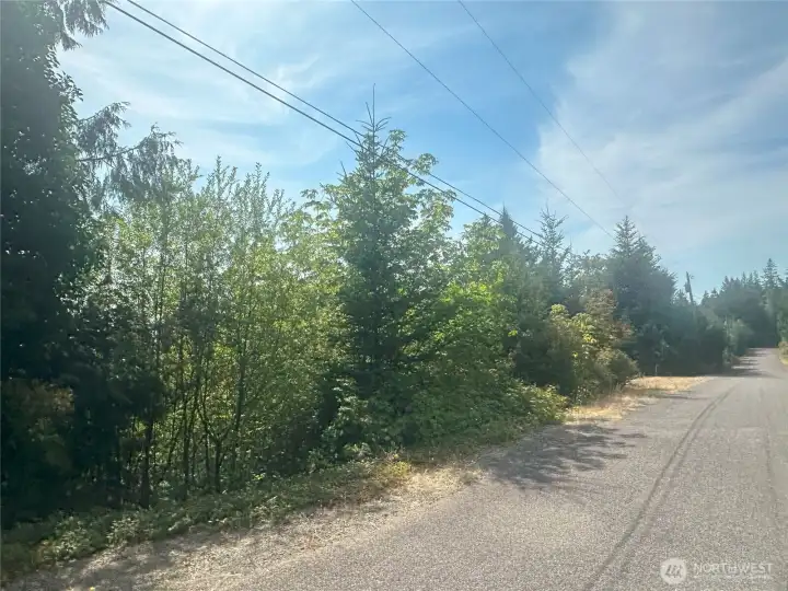 Property goes from Tog Road down to Hwy 101.