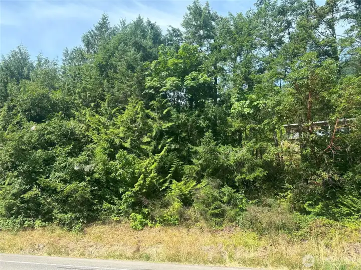 View of lot from Hwy 101.